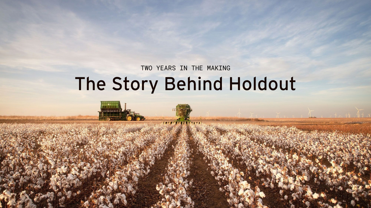 Holdout Launches September 26 at noon